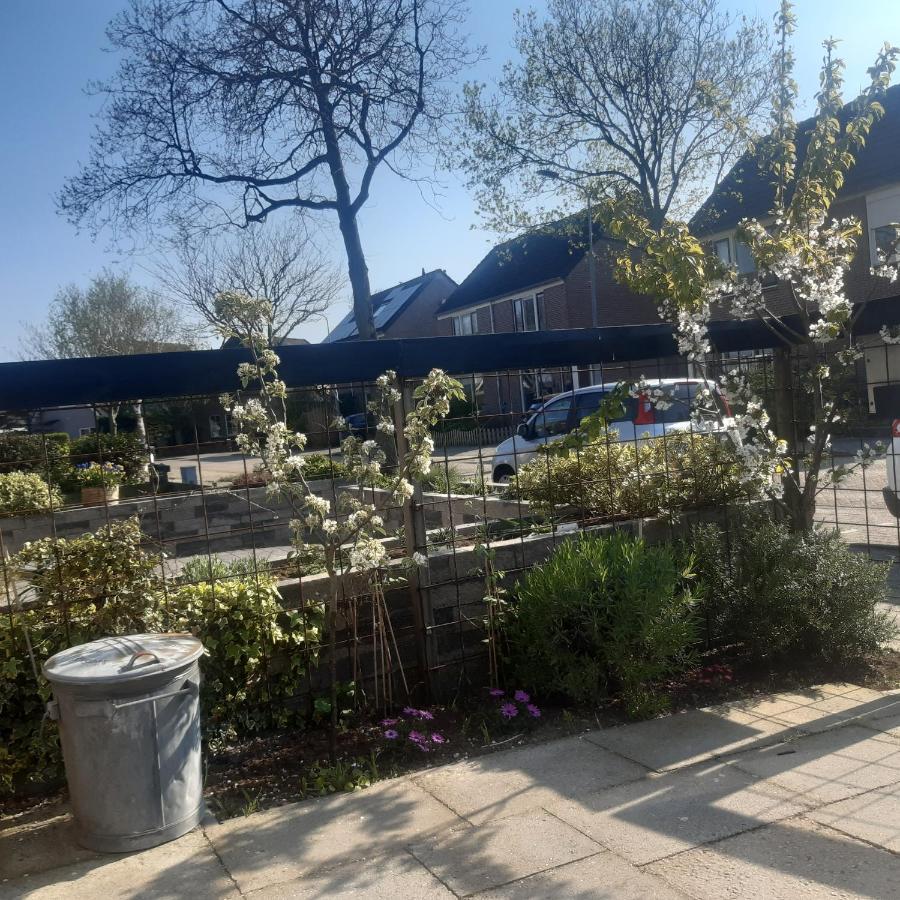 Studio Vlak Bij Het Strand Petten Dış mekan fotoğraf